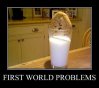 First+World+Problems+Milk+and+Cookies.+Them+darm+first_419d89_3174805.jpg