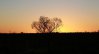 2014_12_27_2294b.jpg