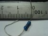DSC01078.JPG
