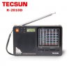 Tecsun R2010D.JPG