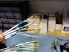 IMG_5255.jpeg