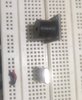 IMG_20201005_114342.jpg