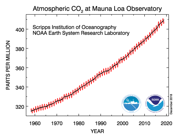 co2_data_mlo.png