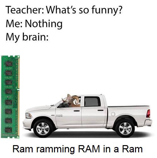 ram-ramming-ram-in-a-ram-jpg.257034