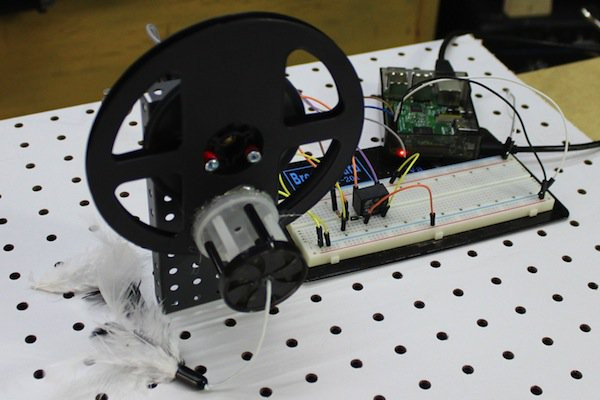 Make a Cat Toy With a Raspberry Pi, LDR, and DC Motor
