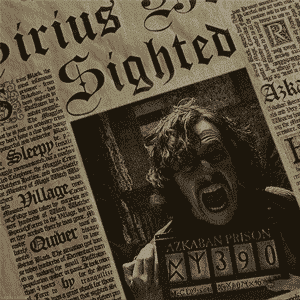 AR: How to Appear on the Daily Prophet Like Harry Potter