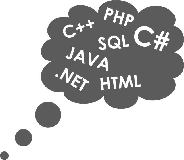 Which Programming Language Should I Choose? Graphics and GUIs