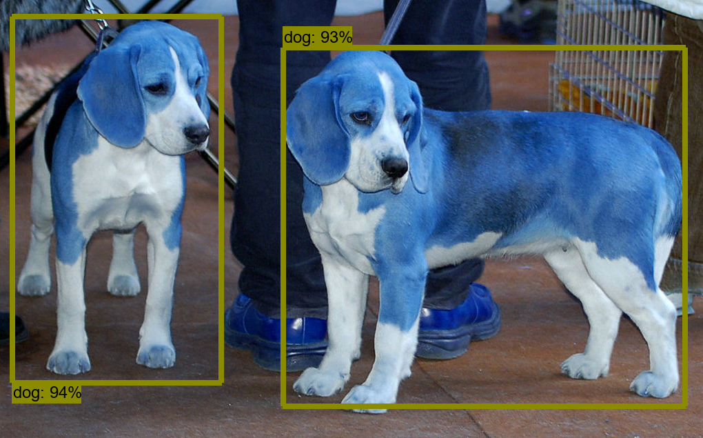 How to Use Raspberry Pi and TensorFlow for Real-time Object Detection