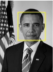 Image with face highlighted