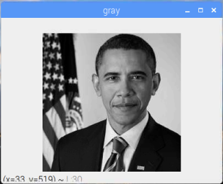 OpenCV Default Grayscale