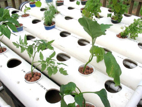 Hydroponic Temperature and Humidity sensing using Arduino and Ubidots over MQTT