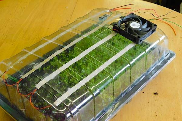 How to Make a Mini Automated Greenhouse for Microgreens