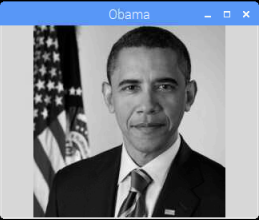 Image in Grayscale Mode