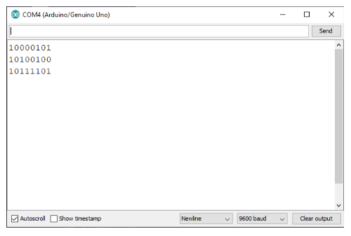 Outputs on the Serial Monitor