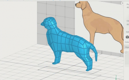 HOW TO CREATE A 3D DOG IN 3D MODELING SOFTWARE