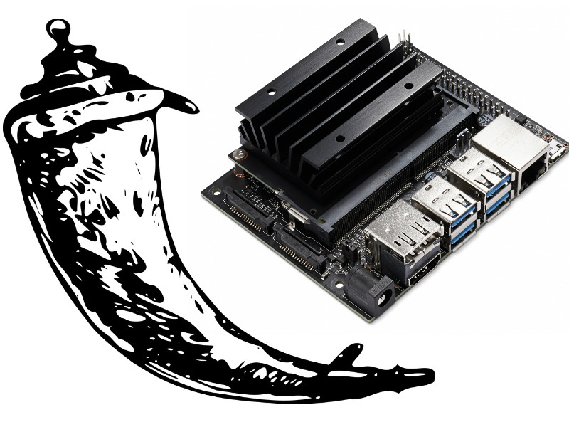 Using Jetson Nano and a Raspberry Pi Camera for Video Streaming