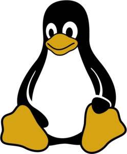 Basic Linux Commands for Beginners